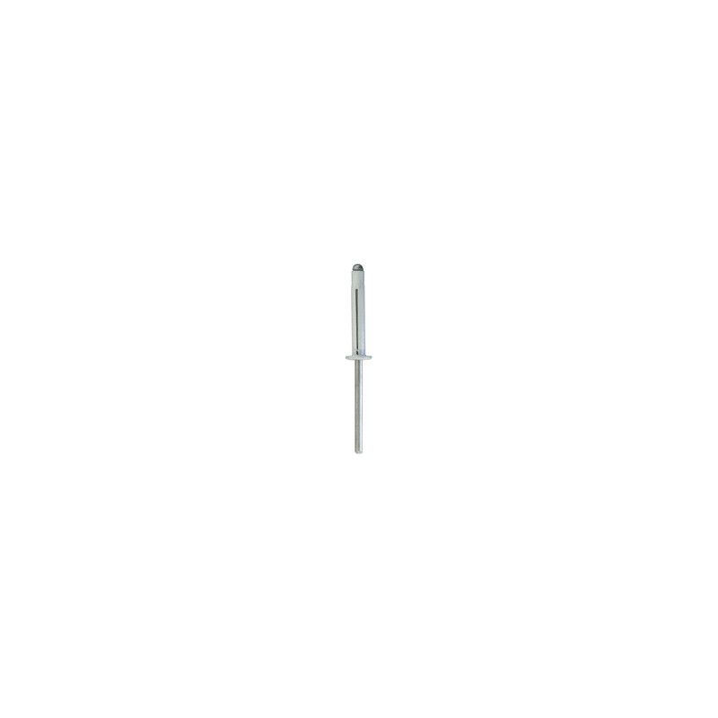RESTAGRAF 4530 Rivet expansé blanc 4 x 25mm pour plaque d'immatriculation