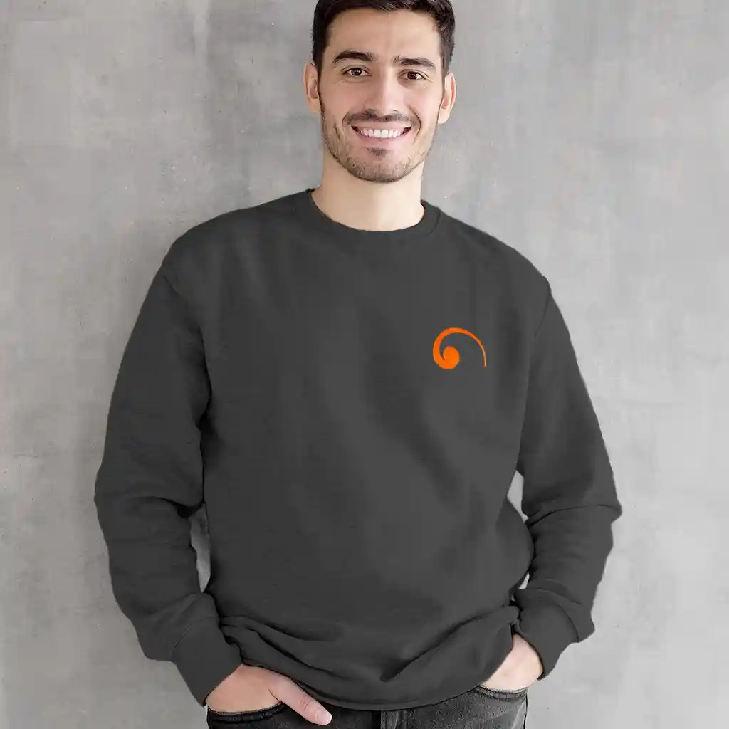 COLORBOX.EU SWEAT_GRIS_L Taille L sweat gris brodé 