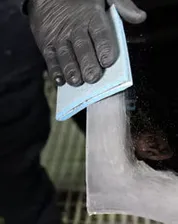 3M 33537 10 feuilles abrasives flexibles sur mousse 3M 139 x 172mm P2000